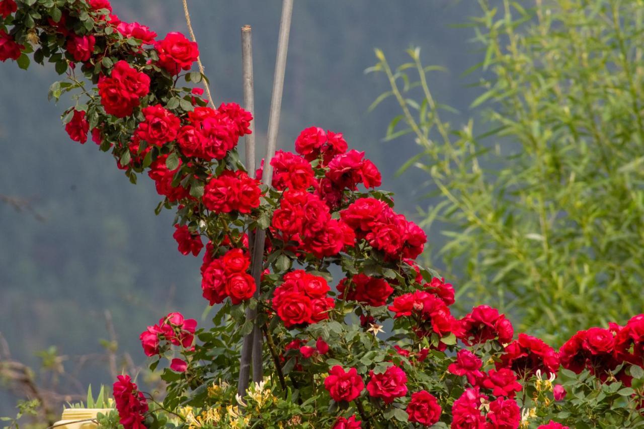 Jal-Vayu Cottages Manali  Exterior photo